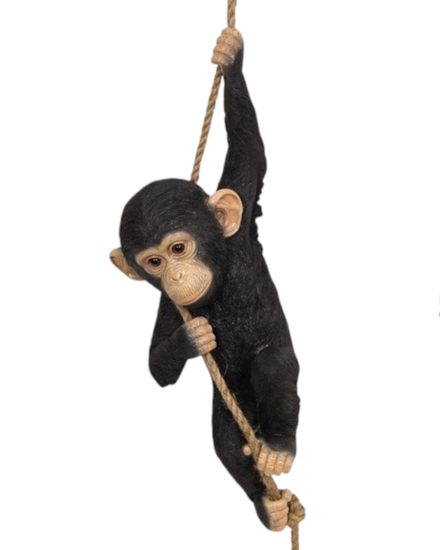 Realistic Hanging Chimp