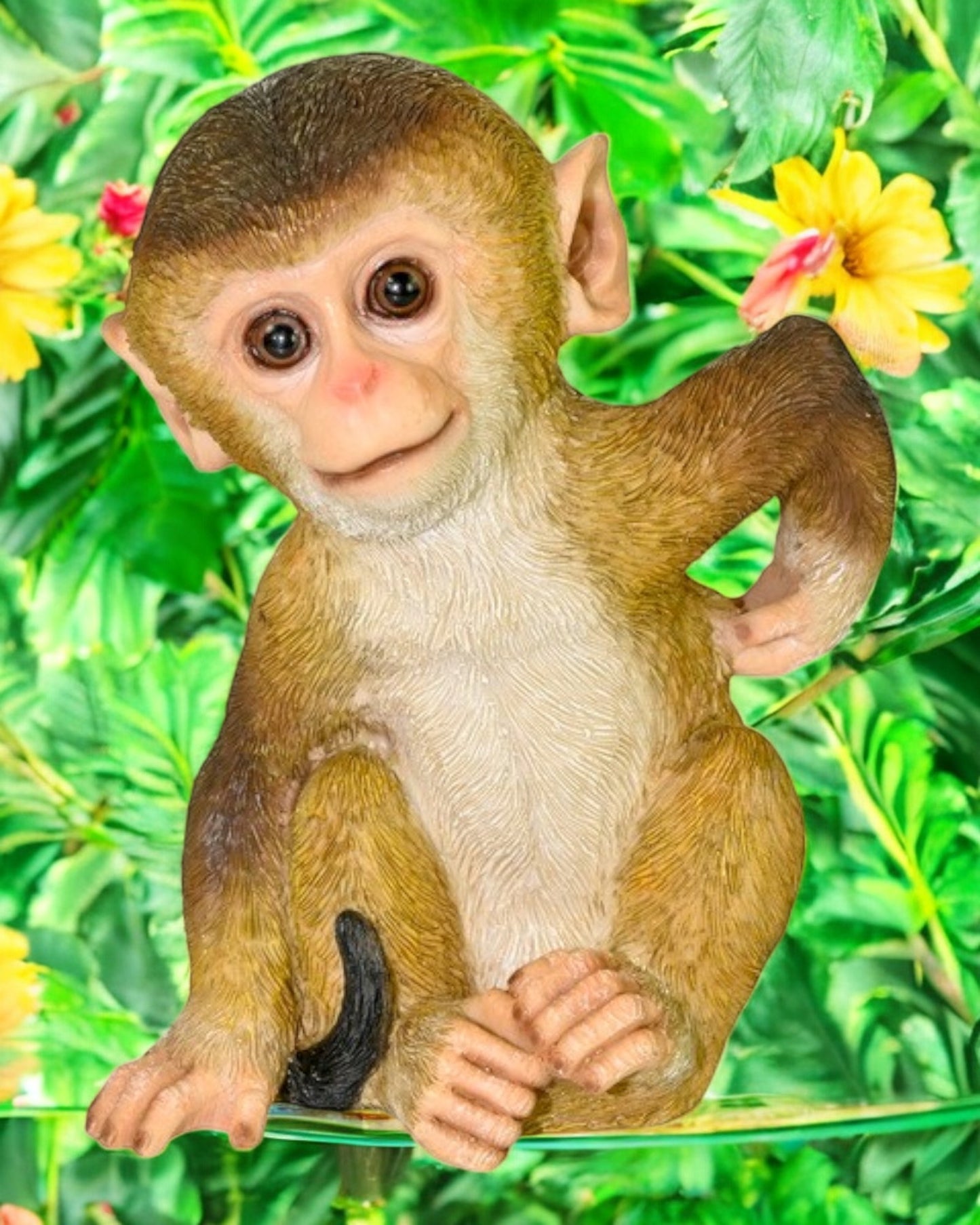 Cute Sitting Monkey