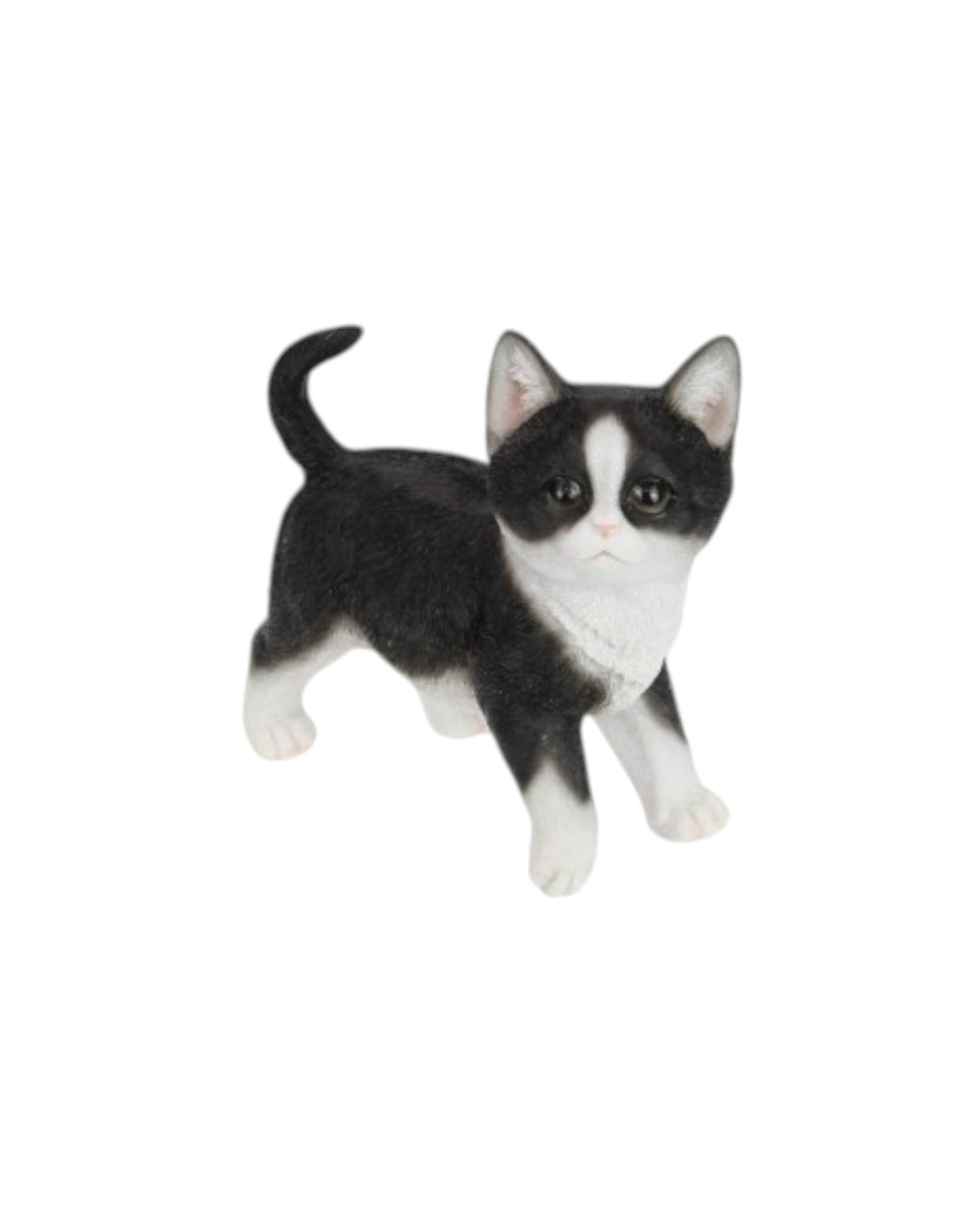 Standing Kittens