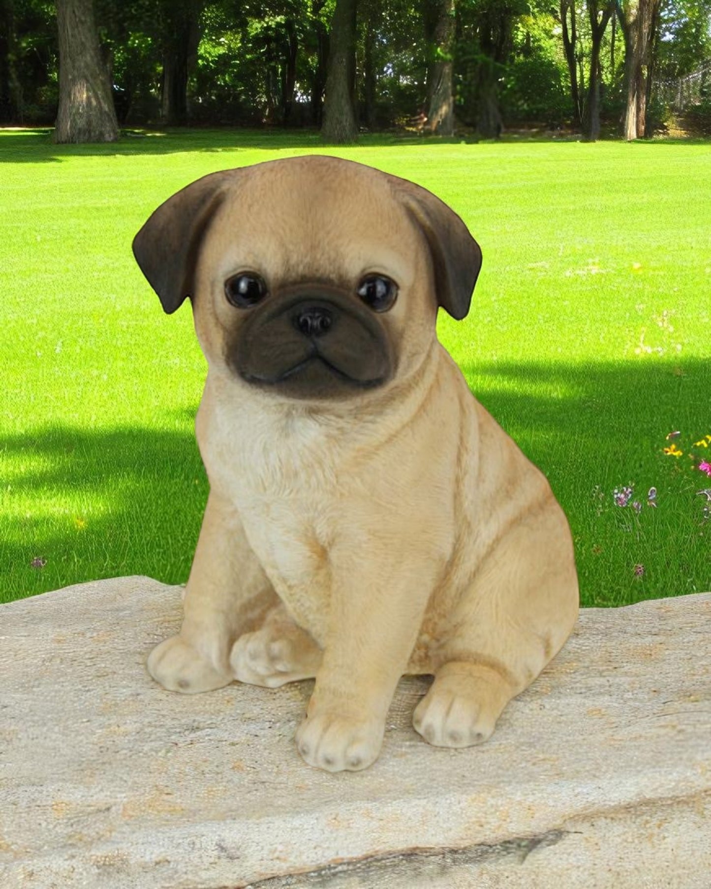 Sitting Cute Pug Puppy