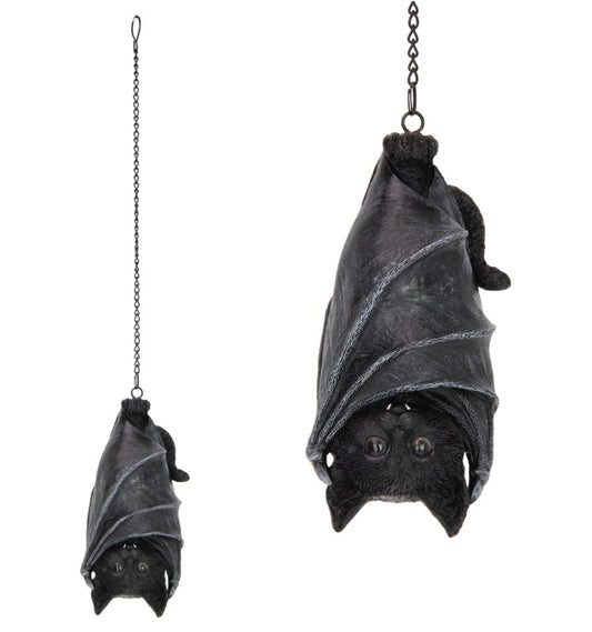 Cat Hanging in Bat Wings