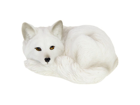 Curled Up White Wolf