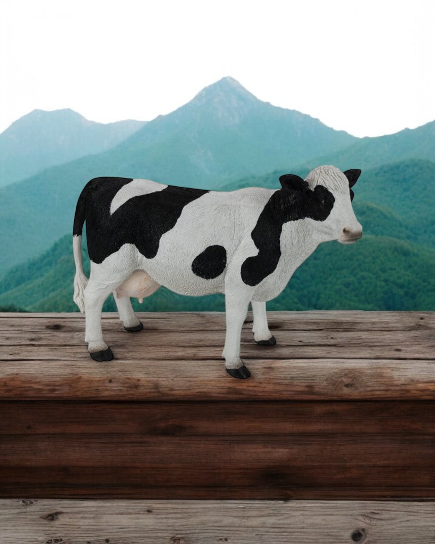 Standing Black & White Cow