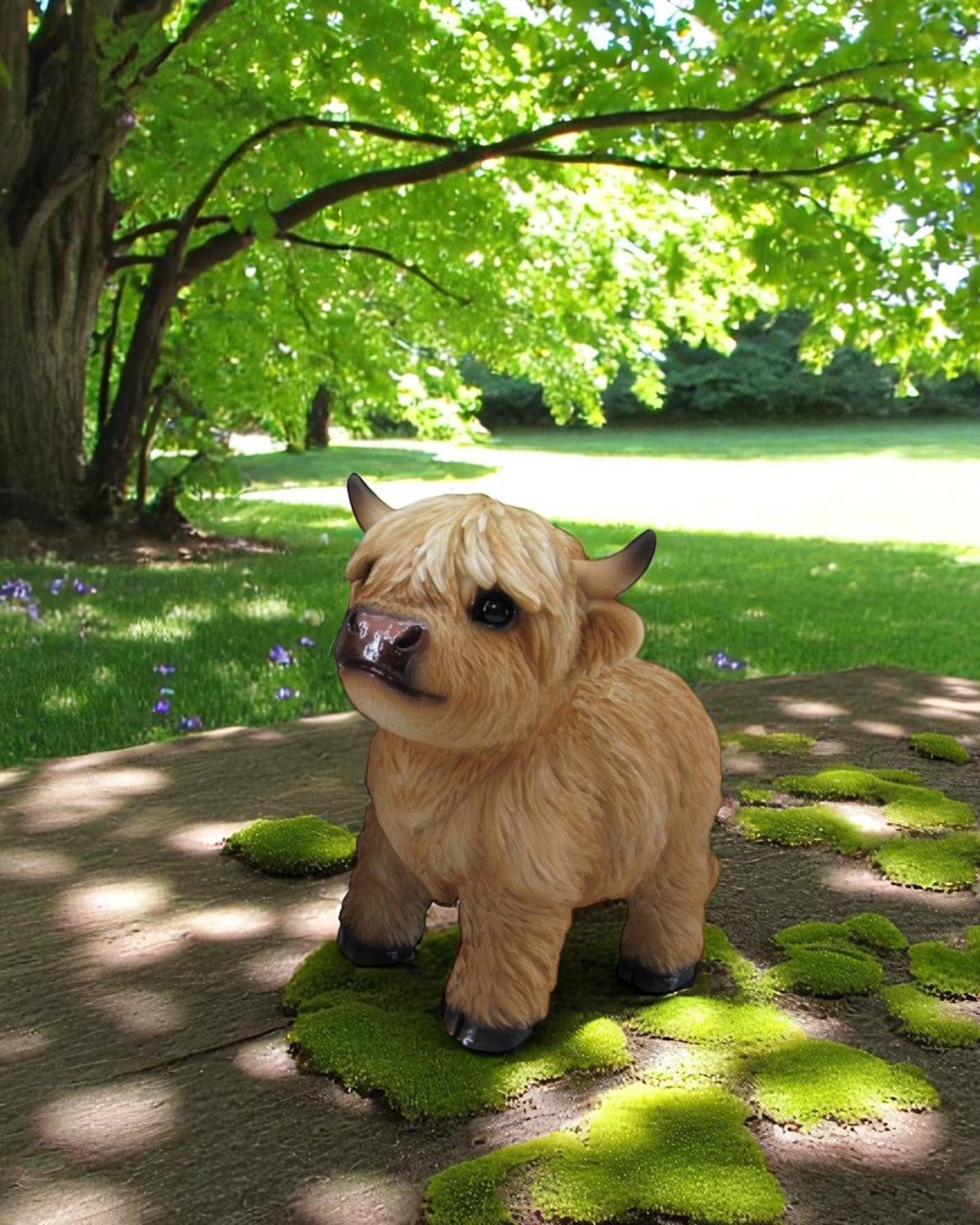 Cute Highland Cow