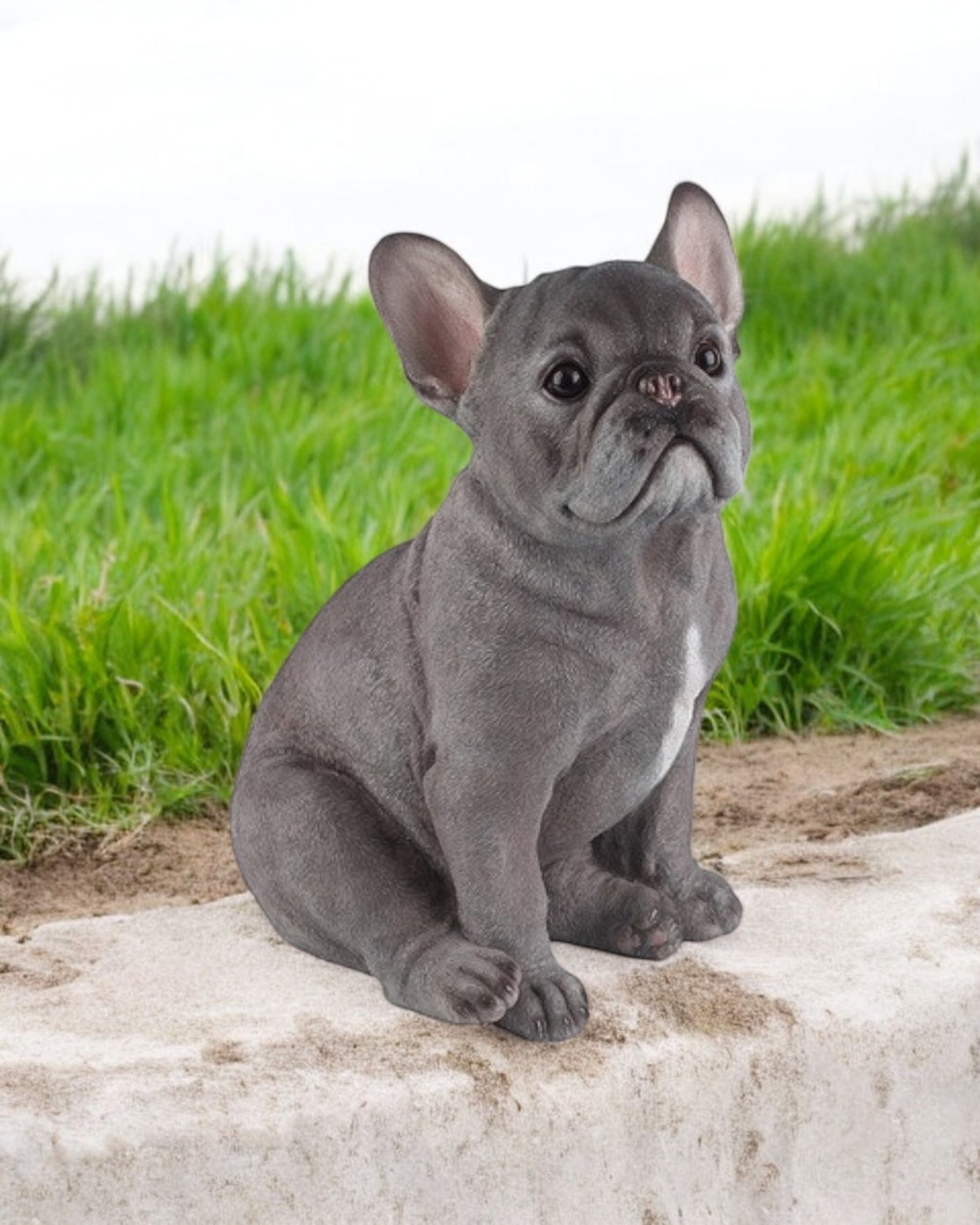 36cm Sitting Grey French Bull Dog