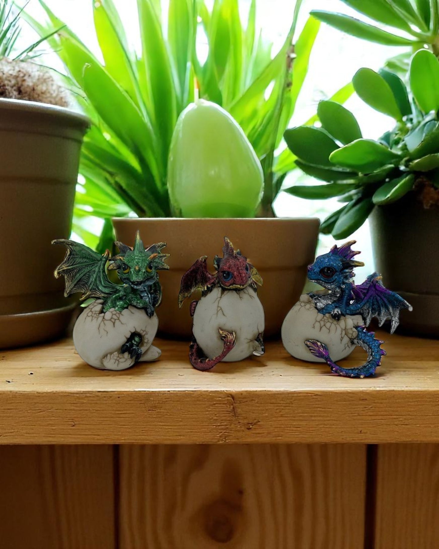 Cute Dragon in Egg