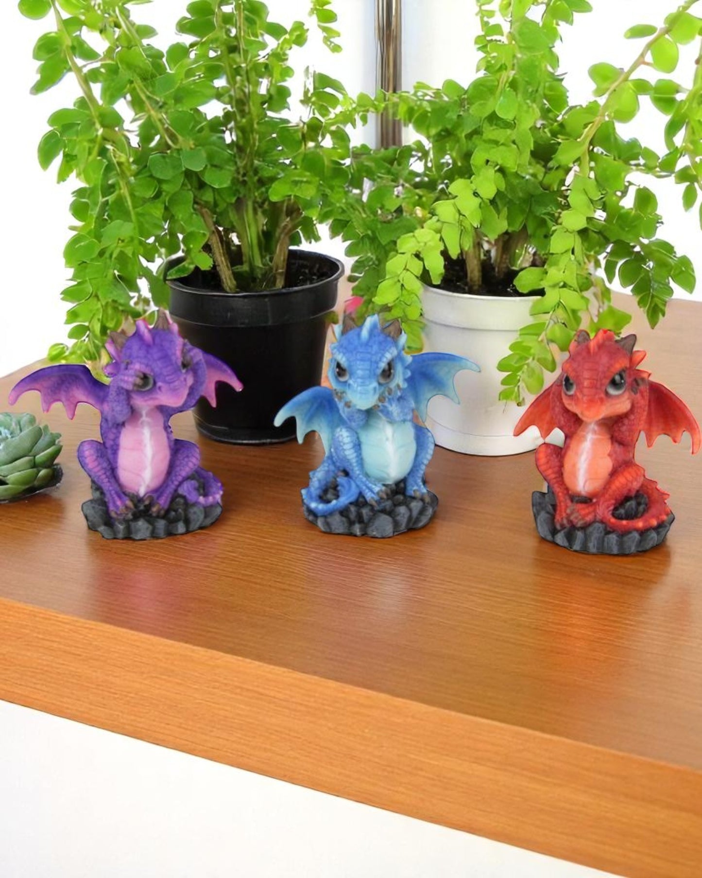 Wise Coloured Dragons ( set of 3 )