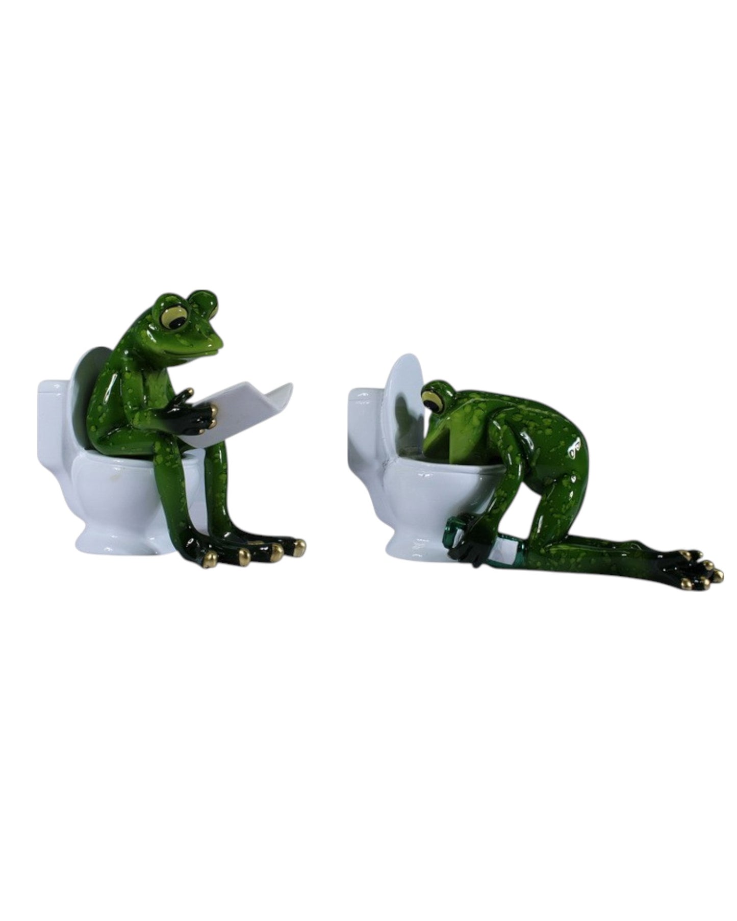 Marble Frog on Toilet