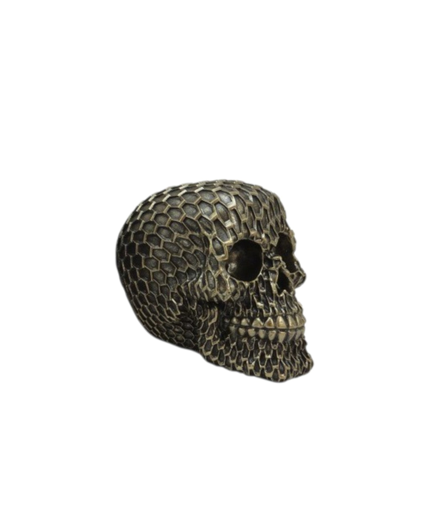 Patterned Skulls