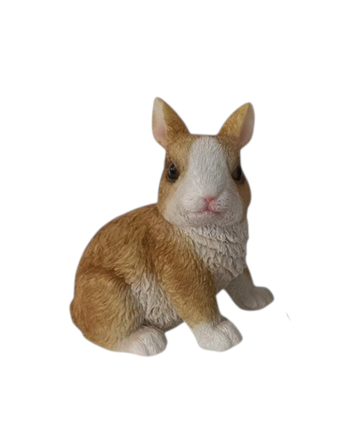 Cute Sitting Rabbits