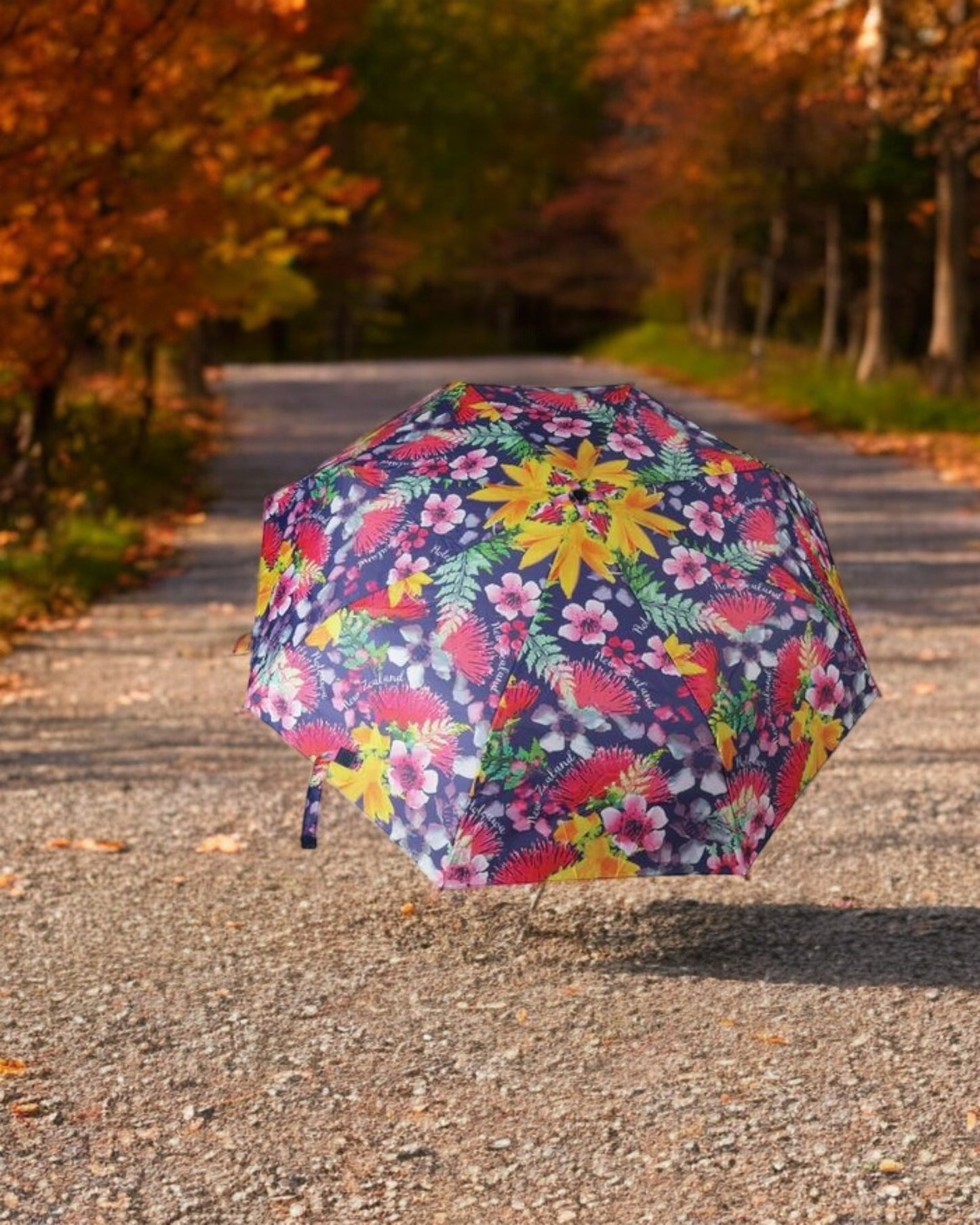 Umbrella Flowers of NZ