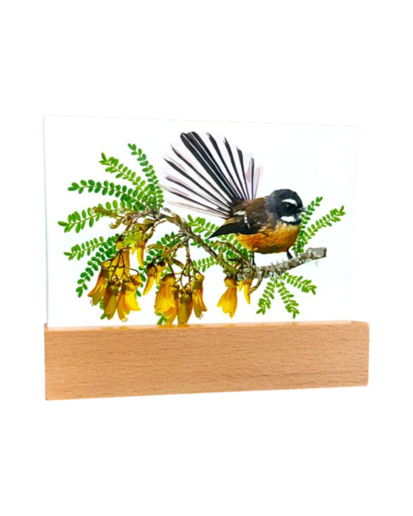 Glass in Block Fantail /Kowhai