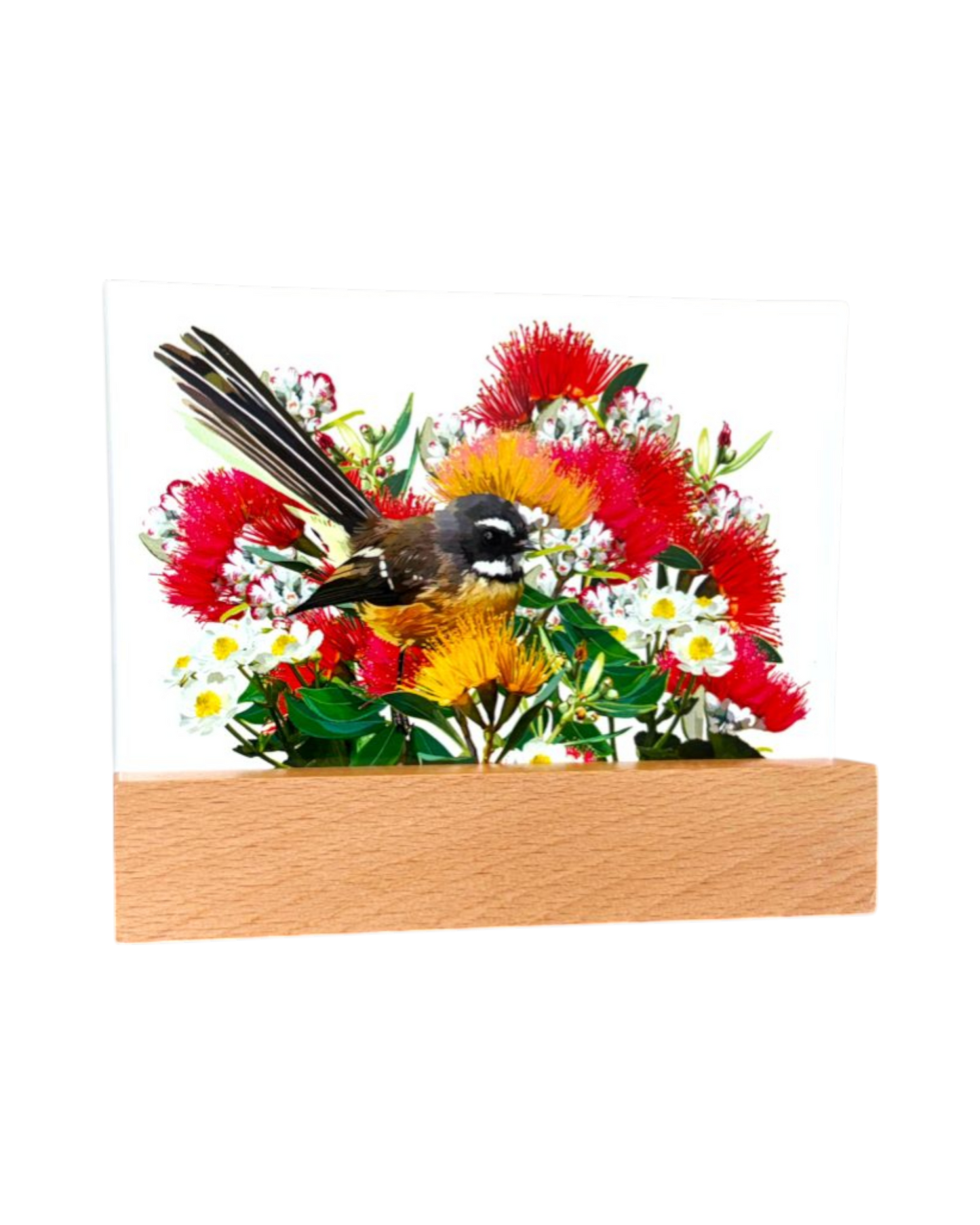 Glass in Block Fantail in Pohutukawa