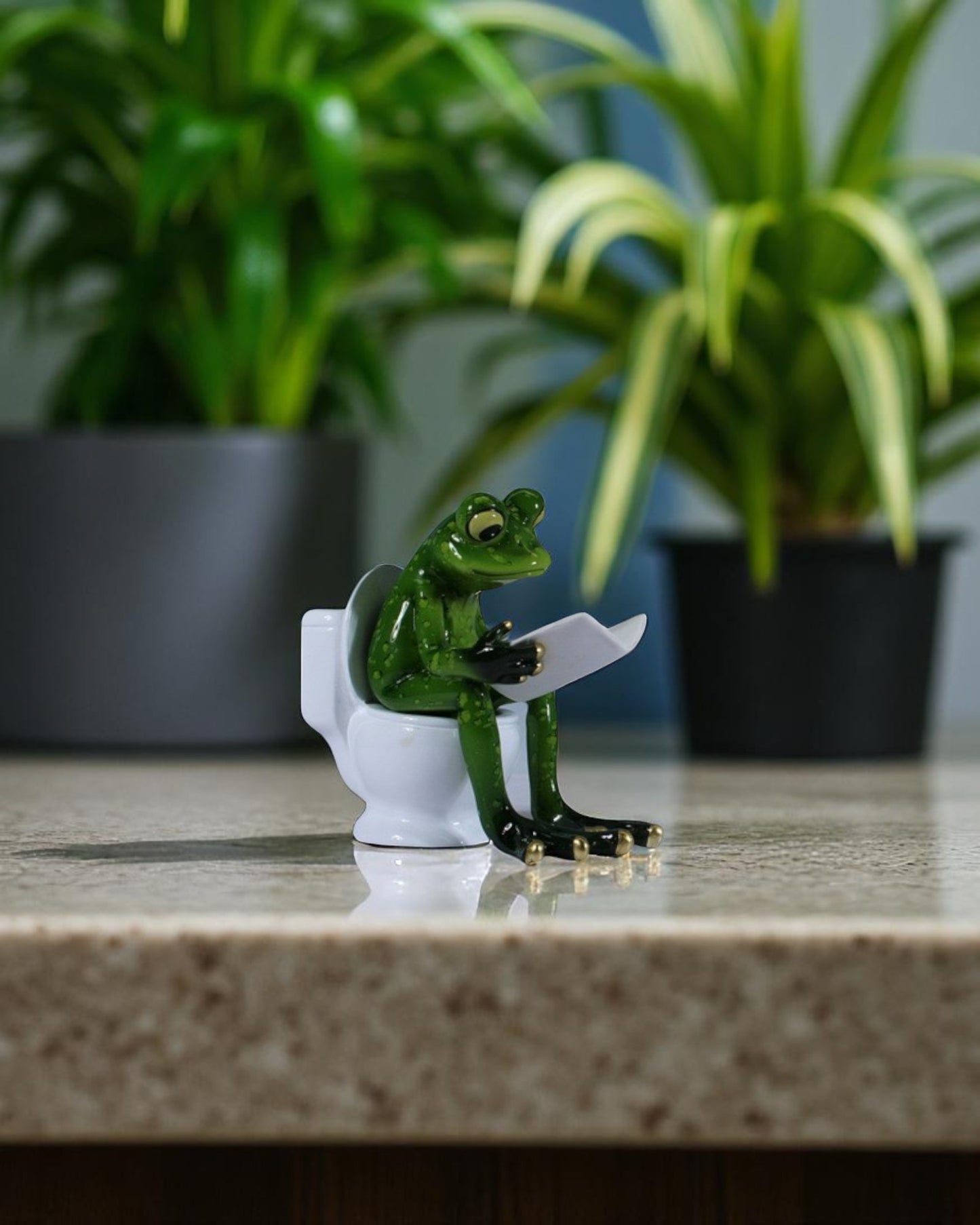 Marble Frog on Toilet