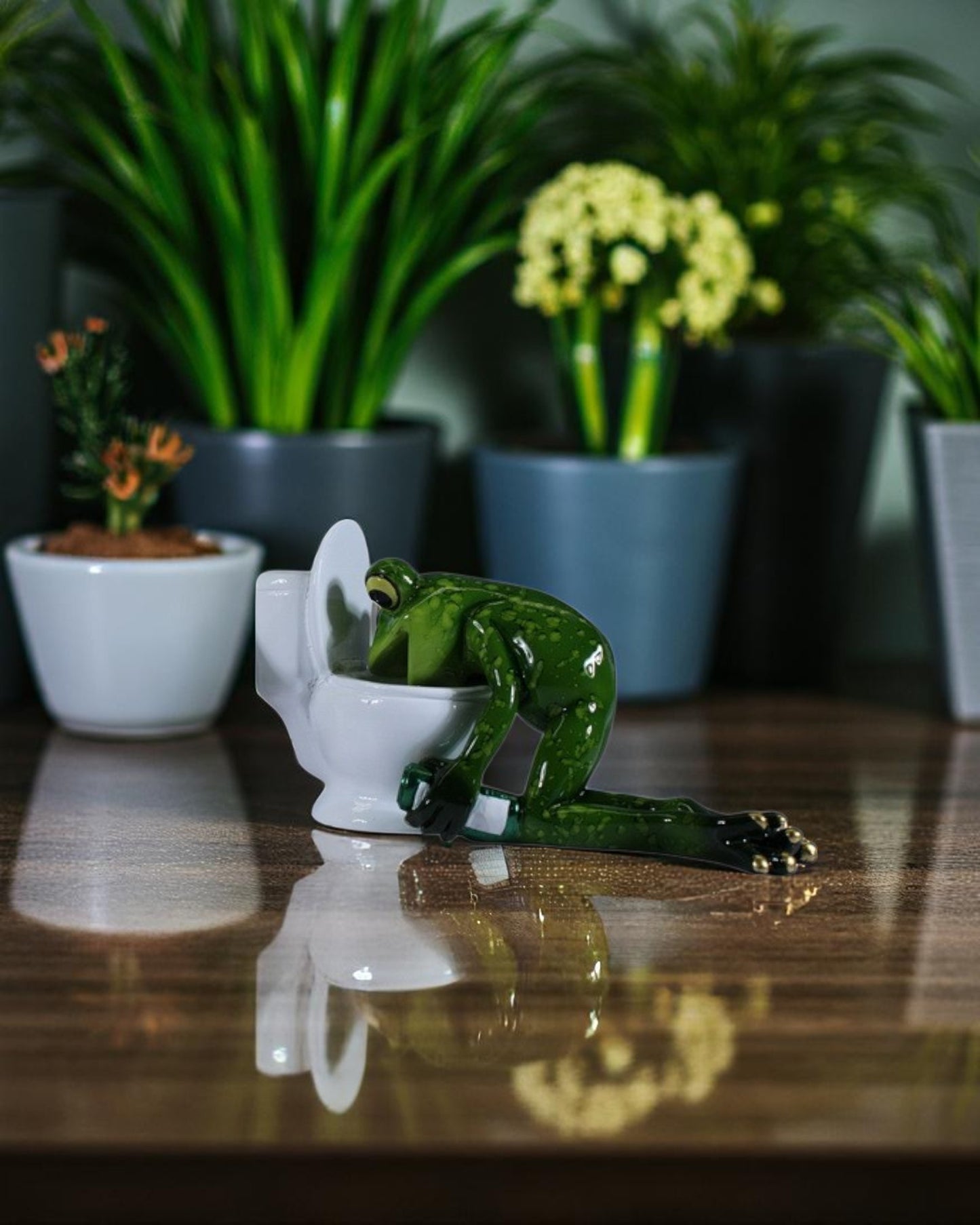 Marble Frog on Toilet