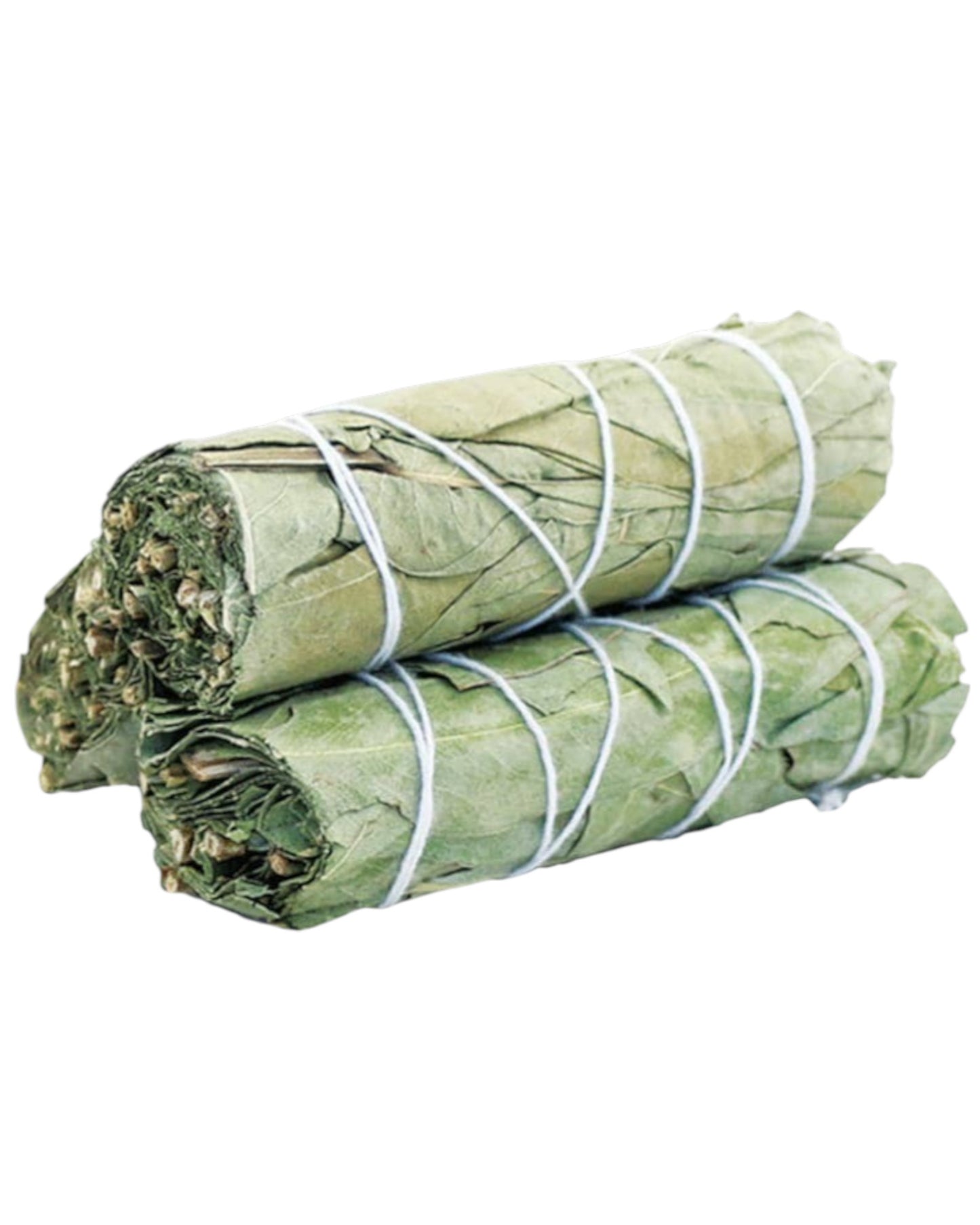 Eucalyptus Sage Smudge Stick (4 in.)