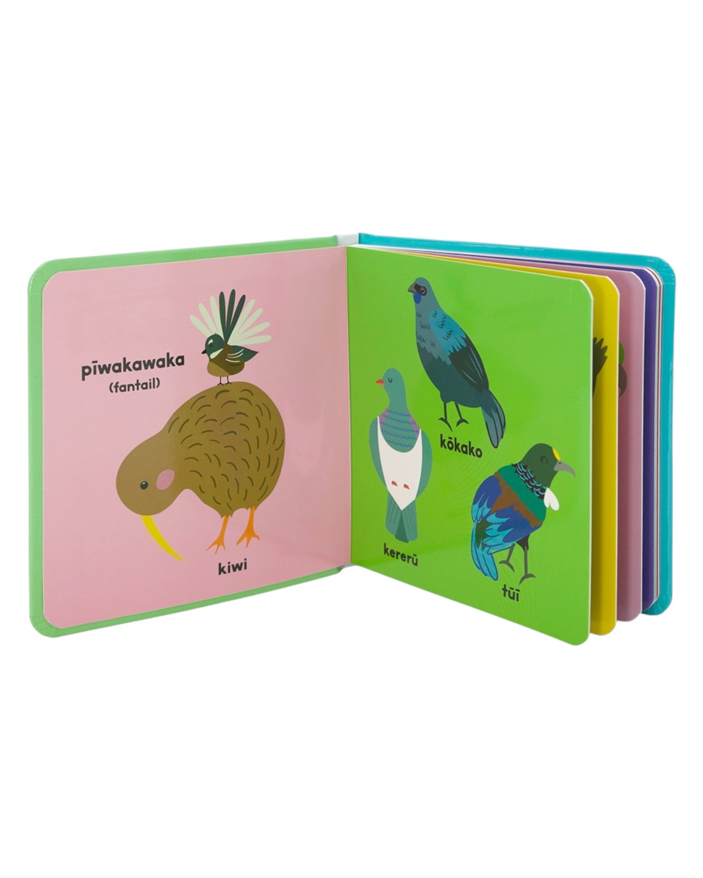Animals of Aotearoa - Board Book