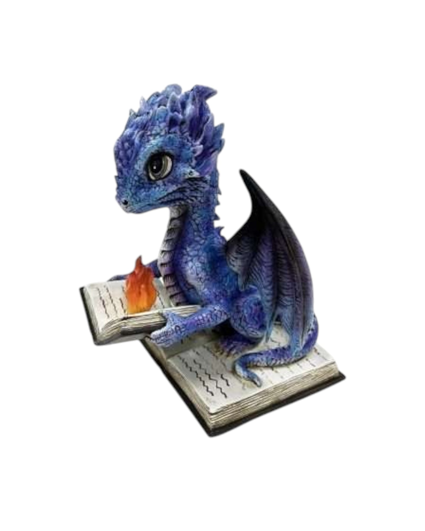 Dragon Reading Book on Fire