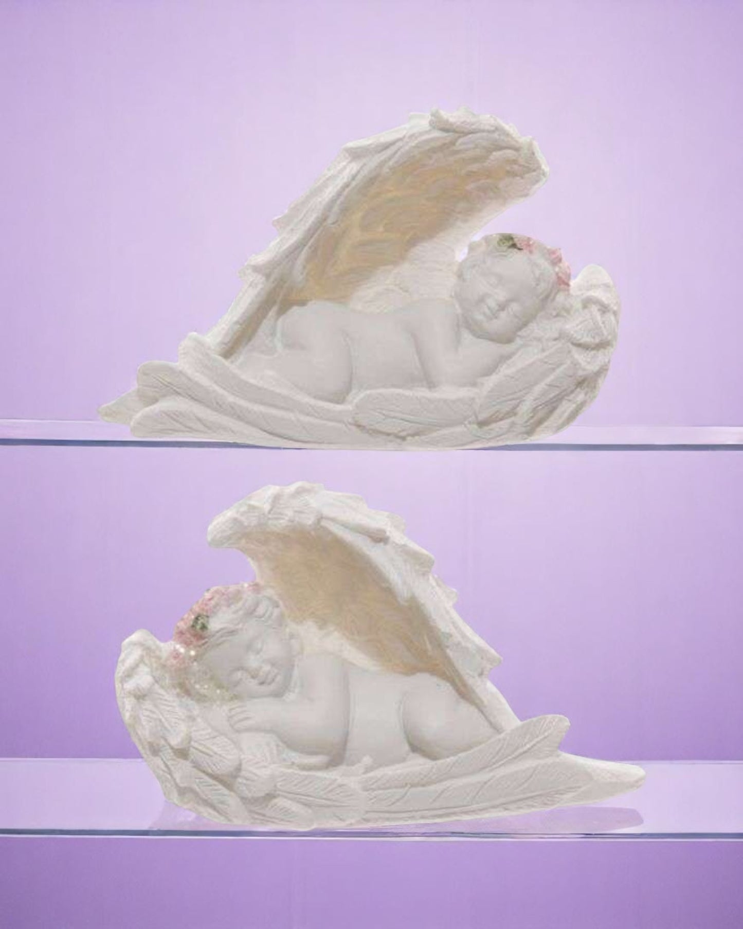 Cherubs Sleeping in Wings with Pink Roses