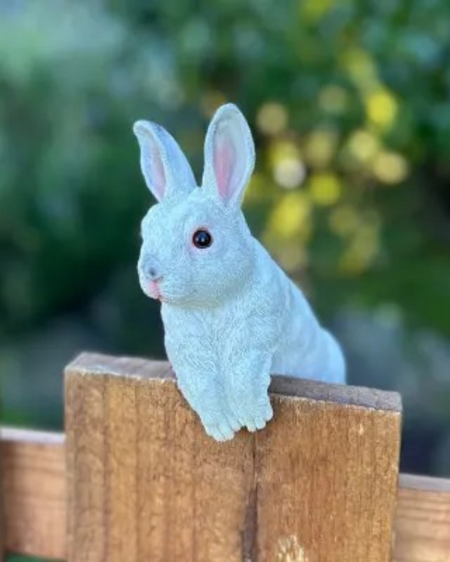 White Rabbit