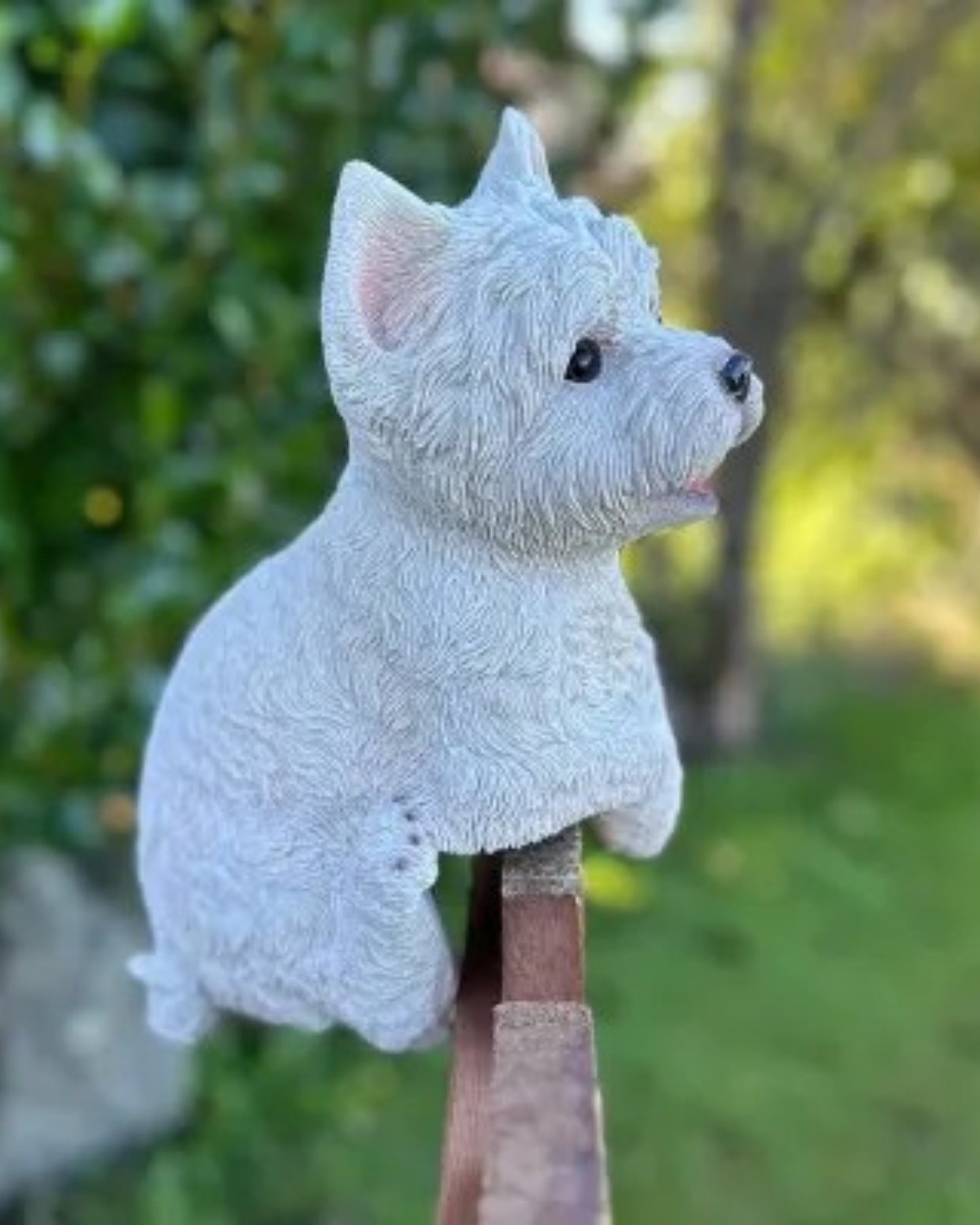 Westie