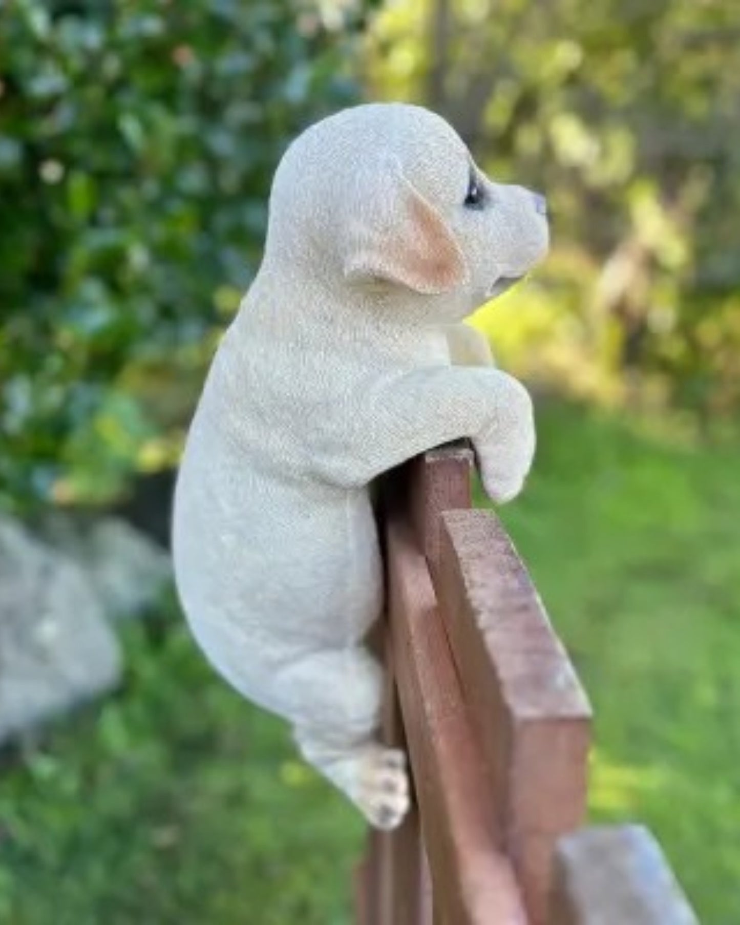 Labrador Large