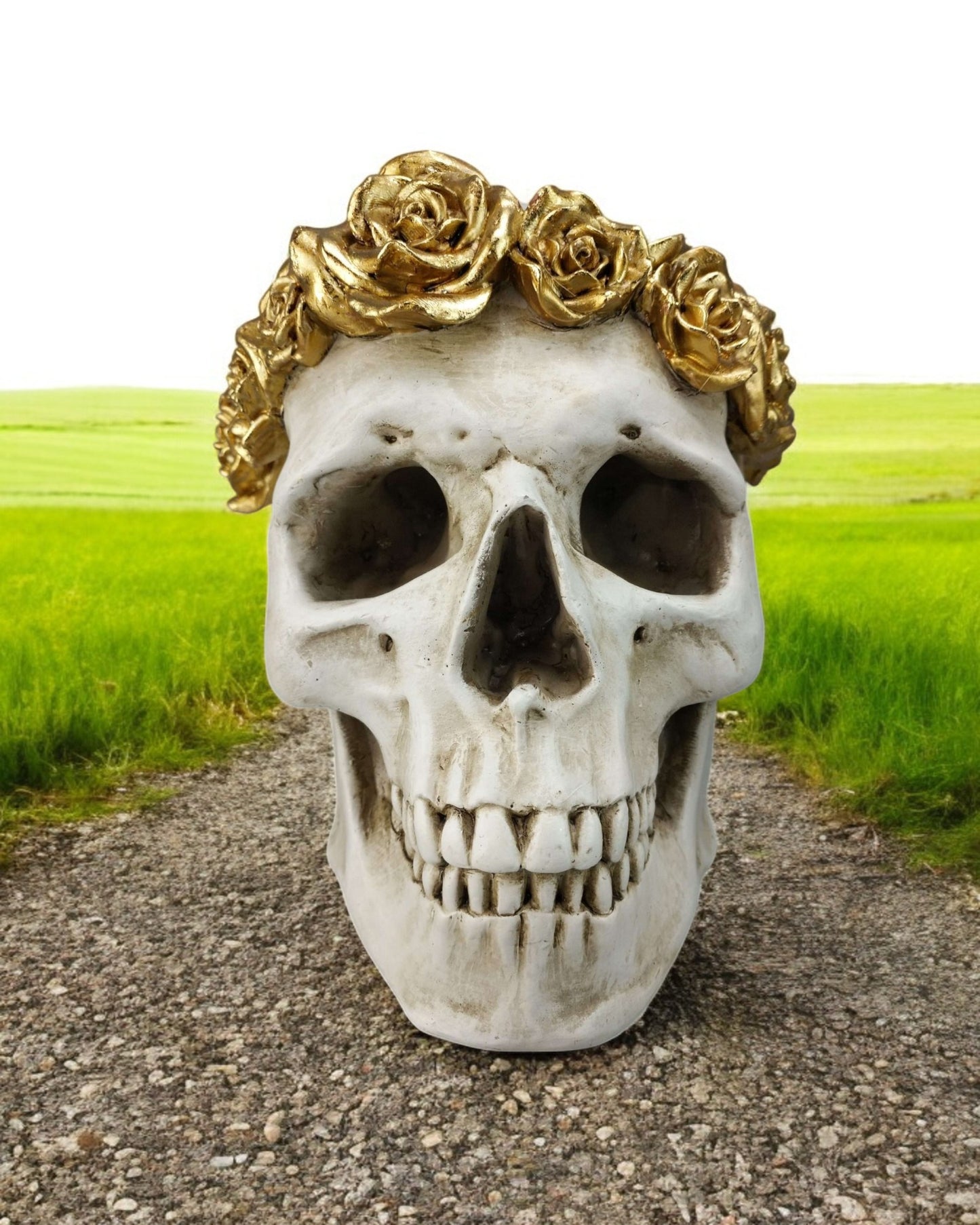 White Skull with Gold Roses