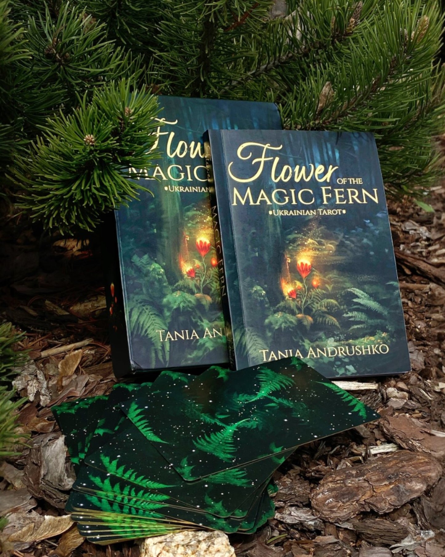 Flower of the Magic Fern