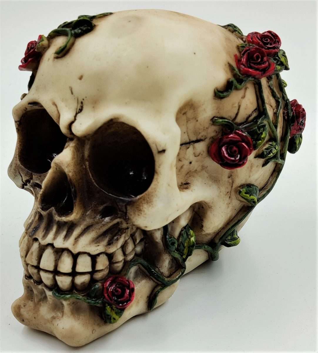 Skull with Roses