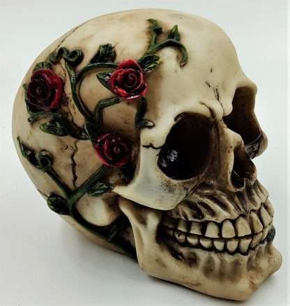Skull with Roses