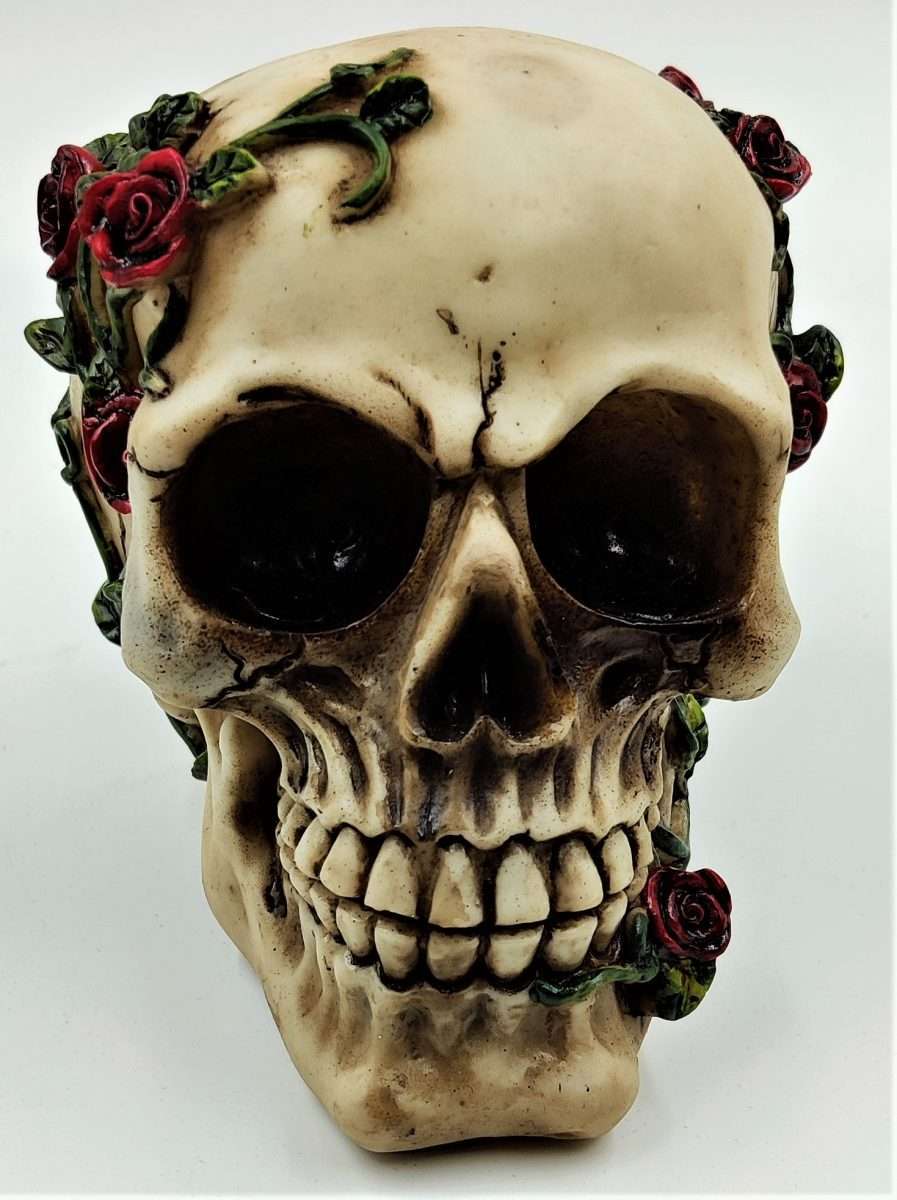 Skull with Roses