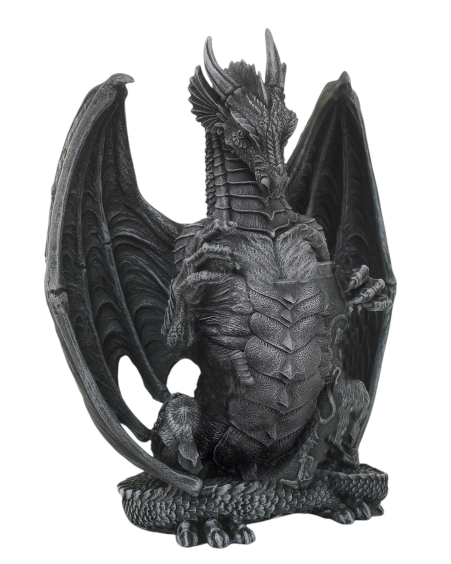 Black Dragon Guarding