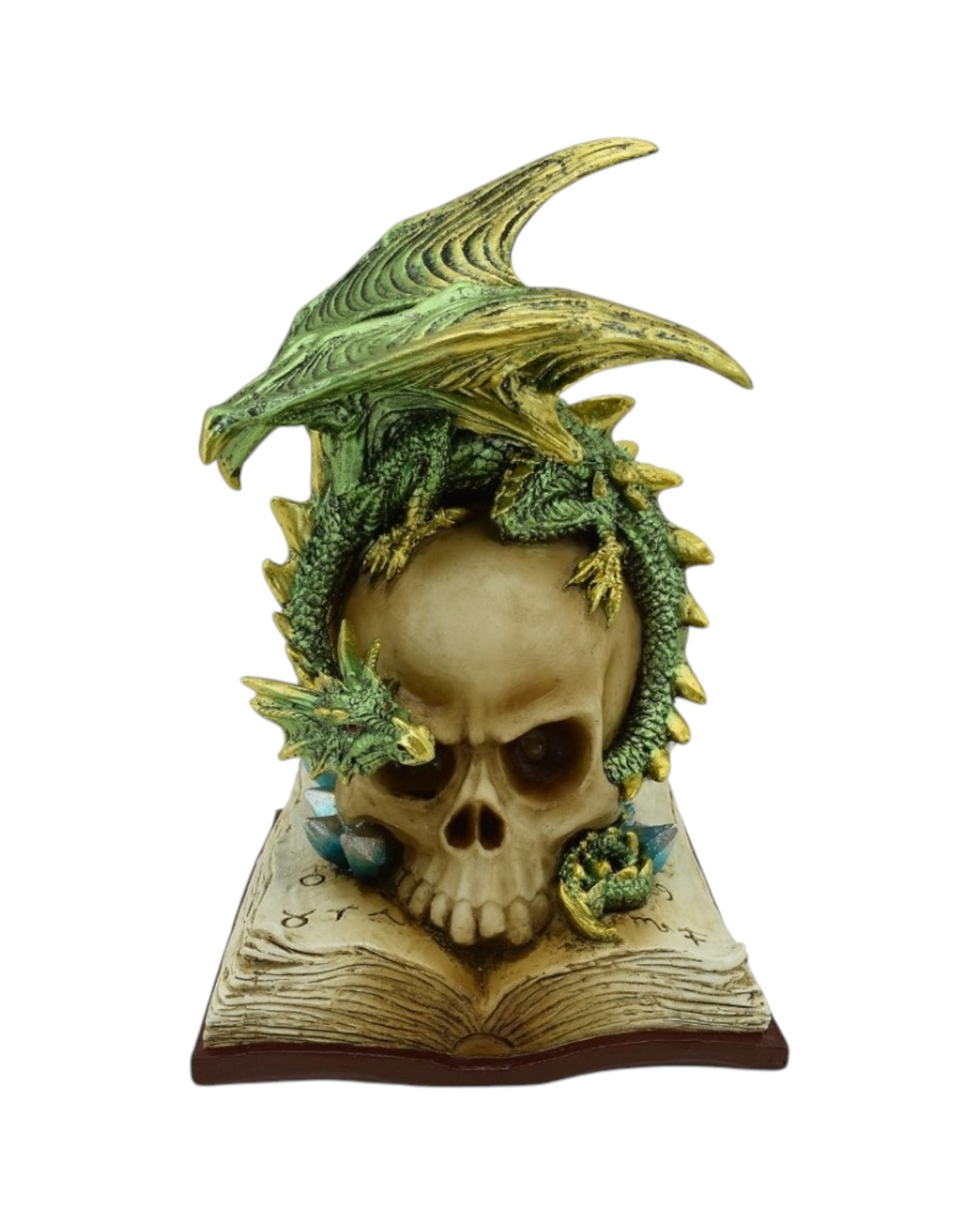 Skull on book with Green Dragon