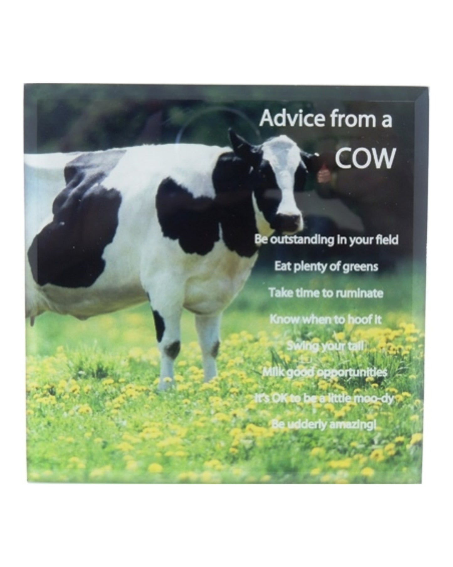 Ceramic Plaque "Advice From a Cow"