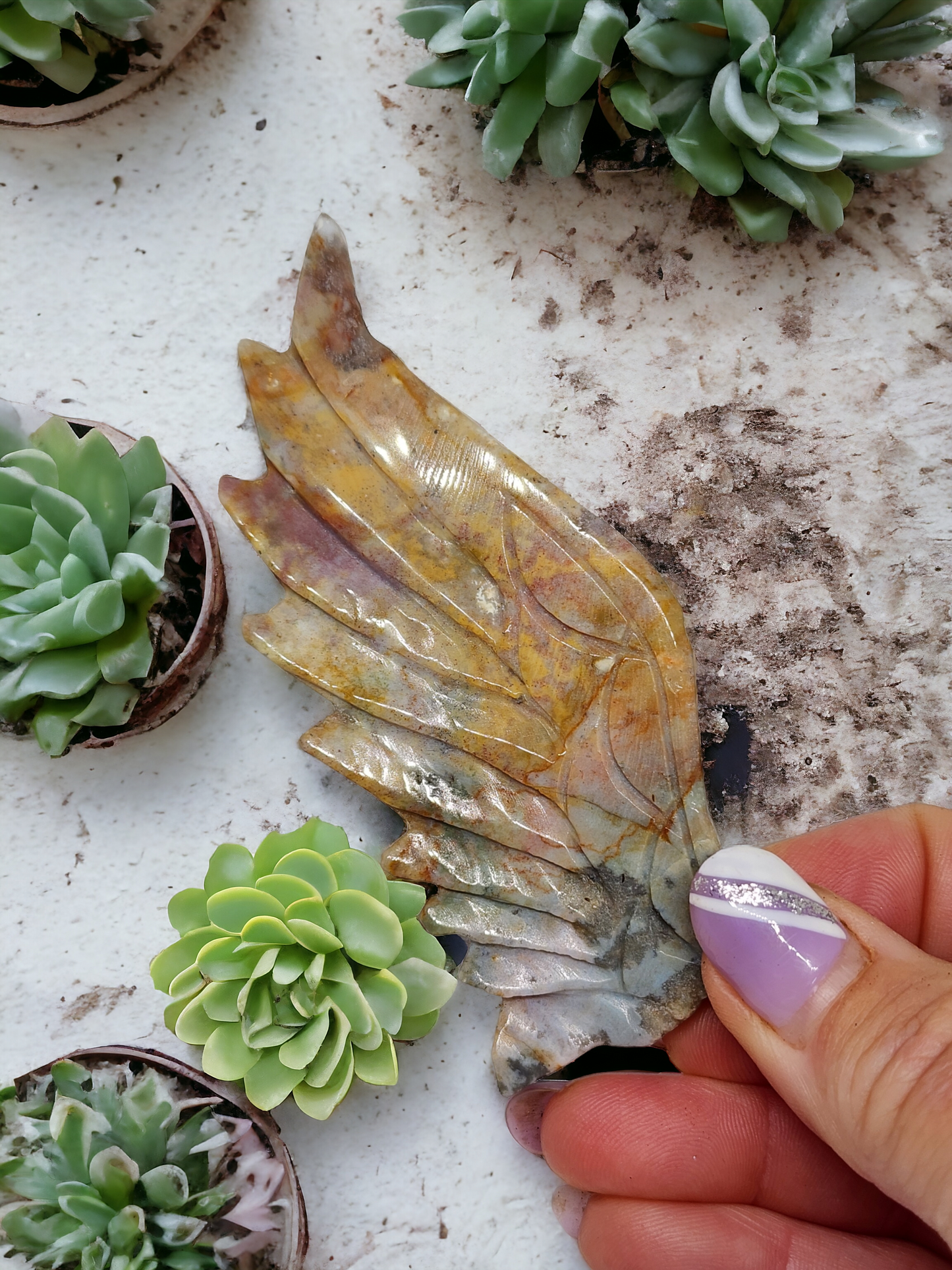 Ocean Jasper Pegasus Wings