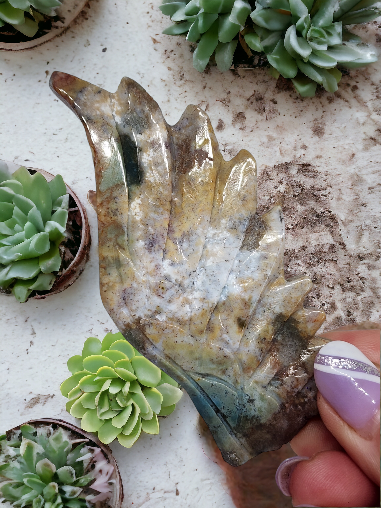 Ocean Jasper Pegasus Wings