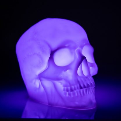 Skull Speaker