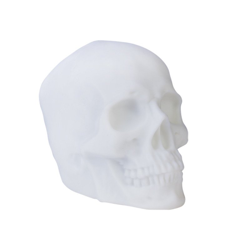 Skull Speaker
