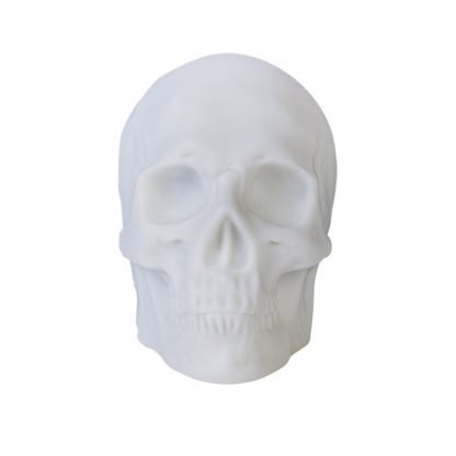 Skull Speaker