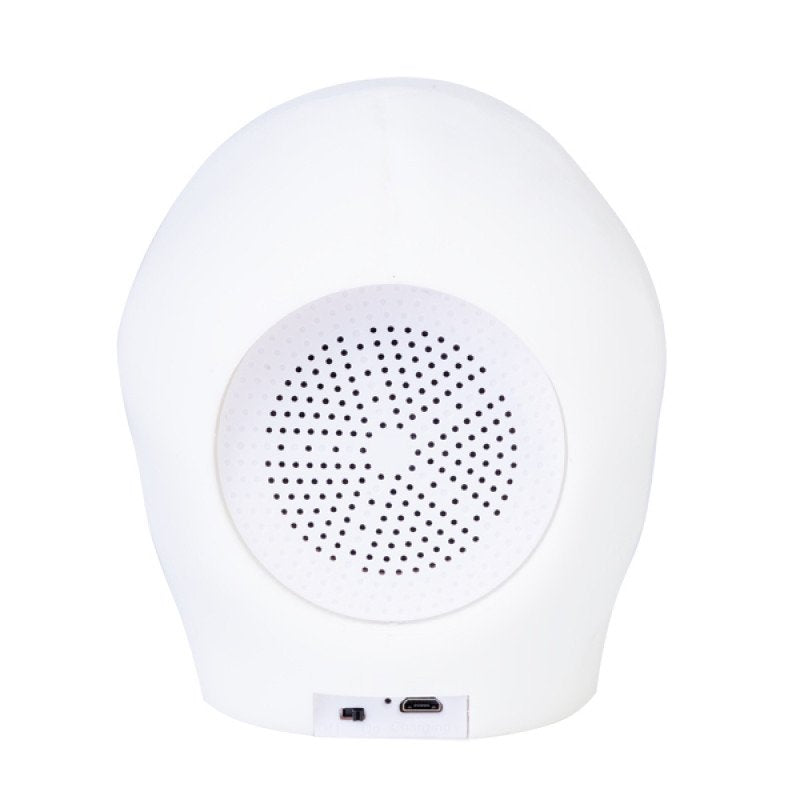 Skull Speaker
