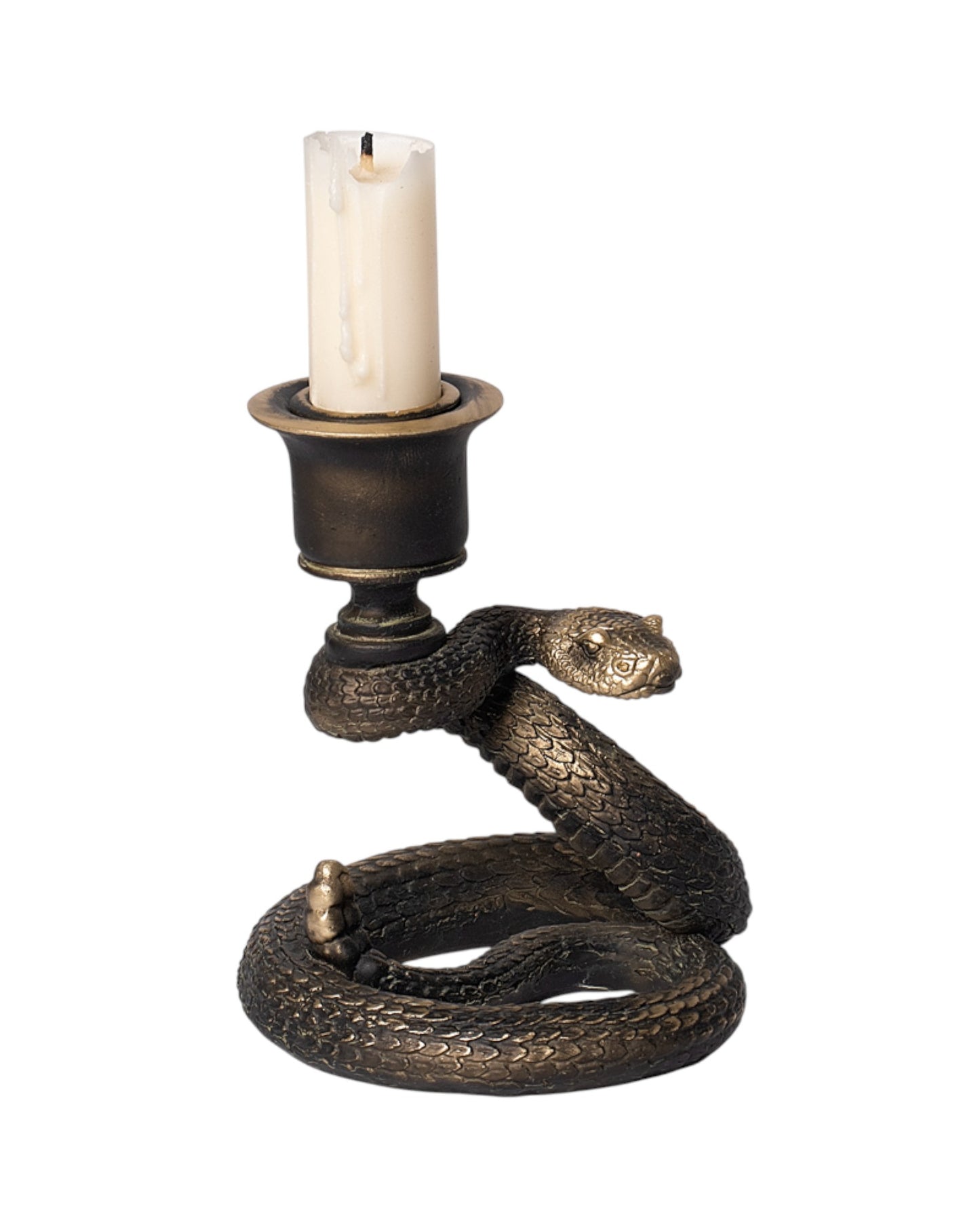 Alchemy Rattle Snake Candle Stick: Black