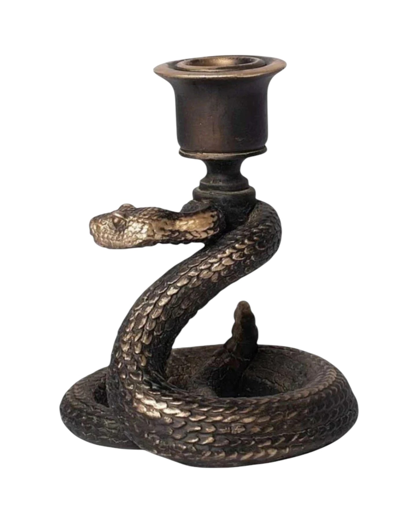 Alchemy Rattle Snake Candle Stick: Black