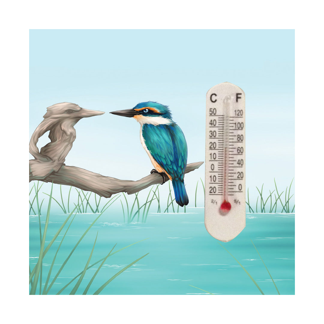 Thermometer Magnet - Sophie Blokker