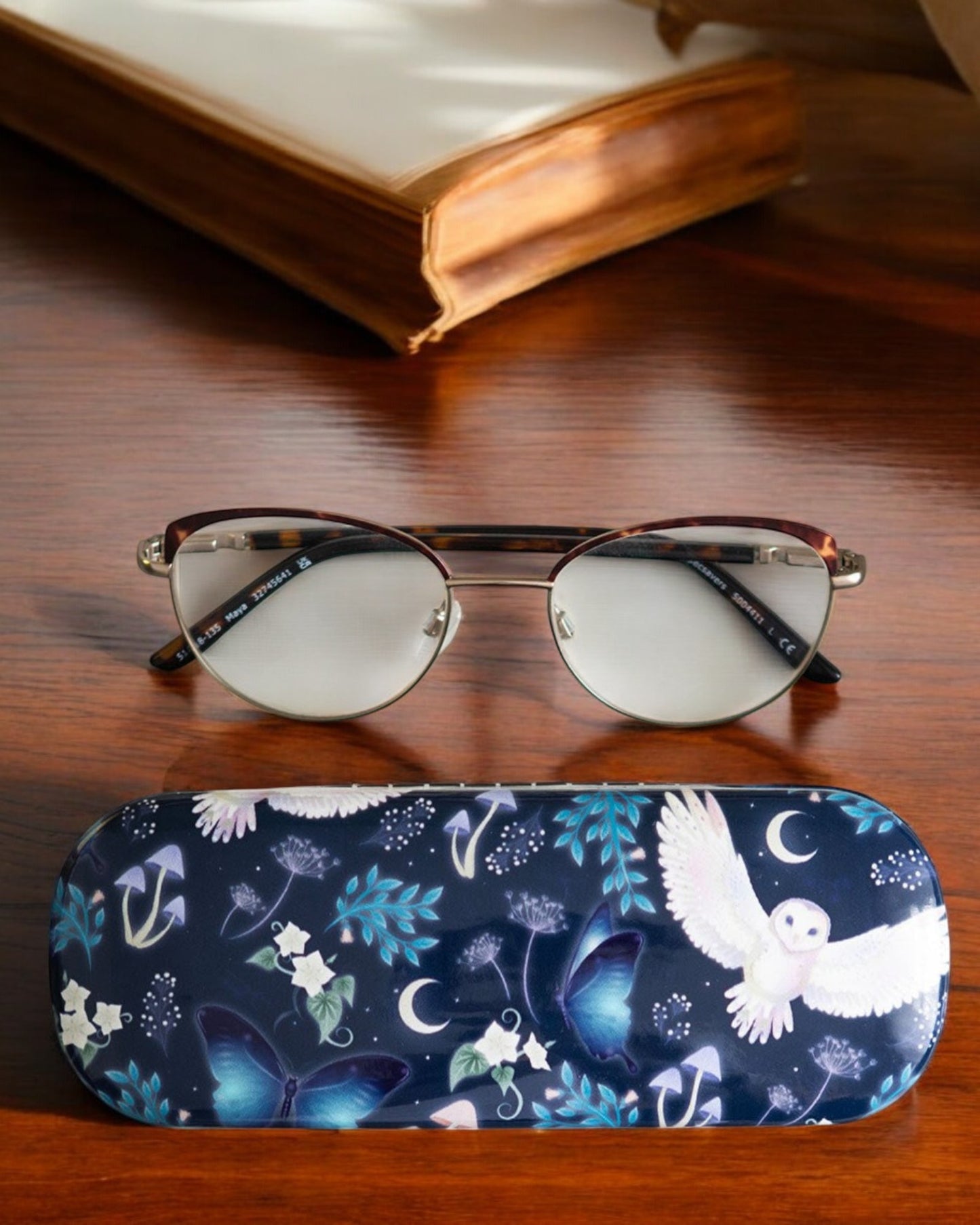 Night Flight Glasses Case