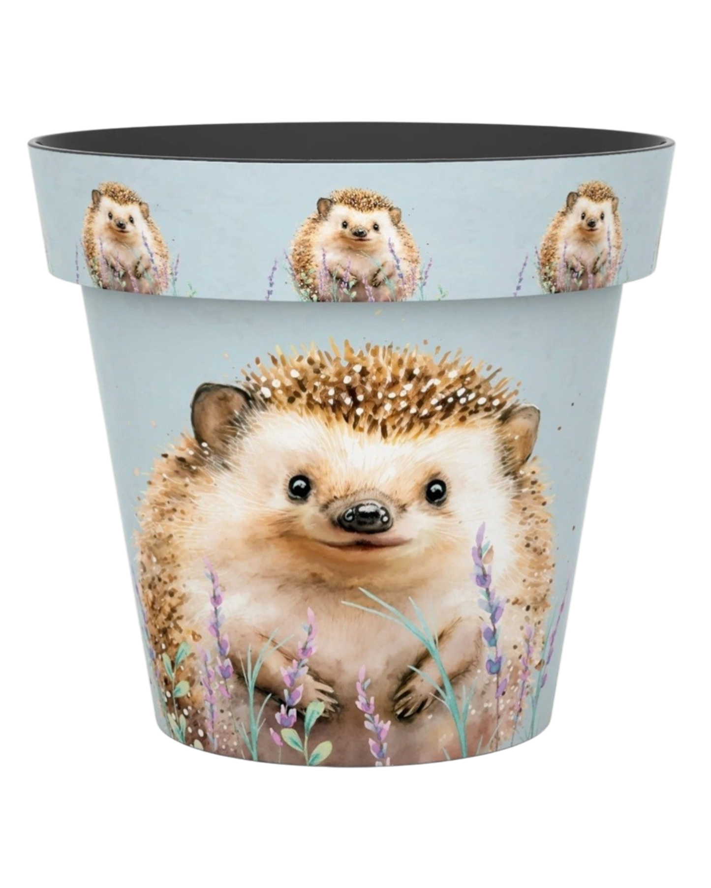 Plant Pot - Zest Hedgehog 22cm