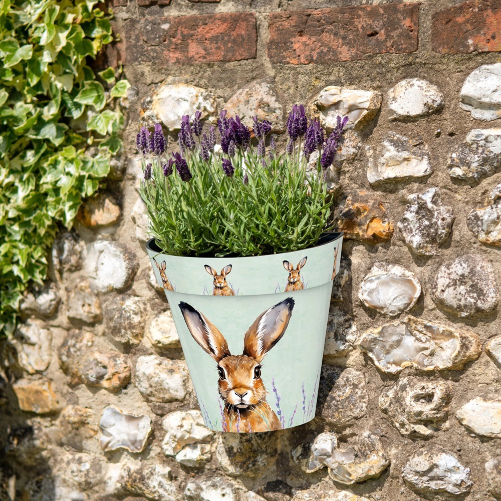 Zest Wall Pot Hare NEW!
