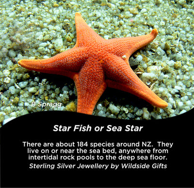 STERLING SILVER STARFISH STUD EARRINGS