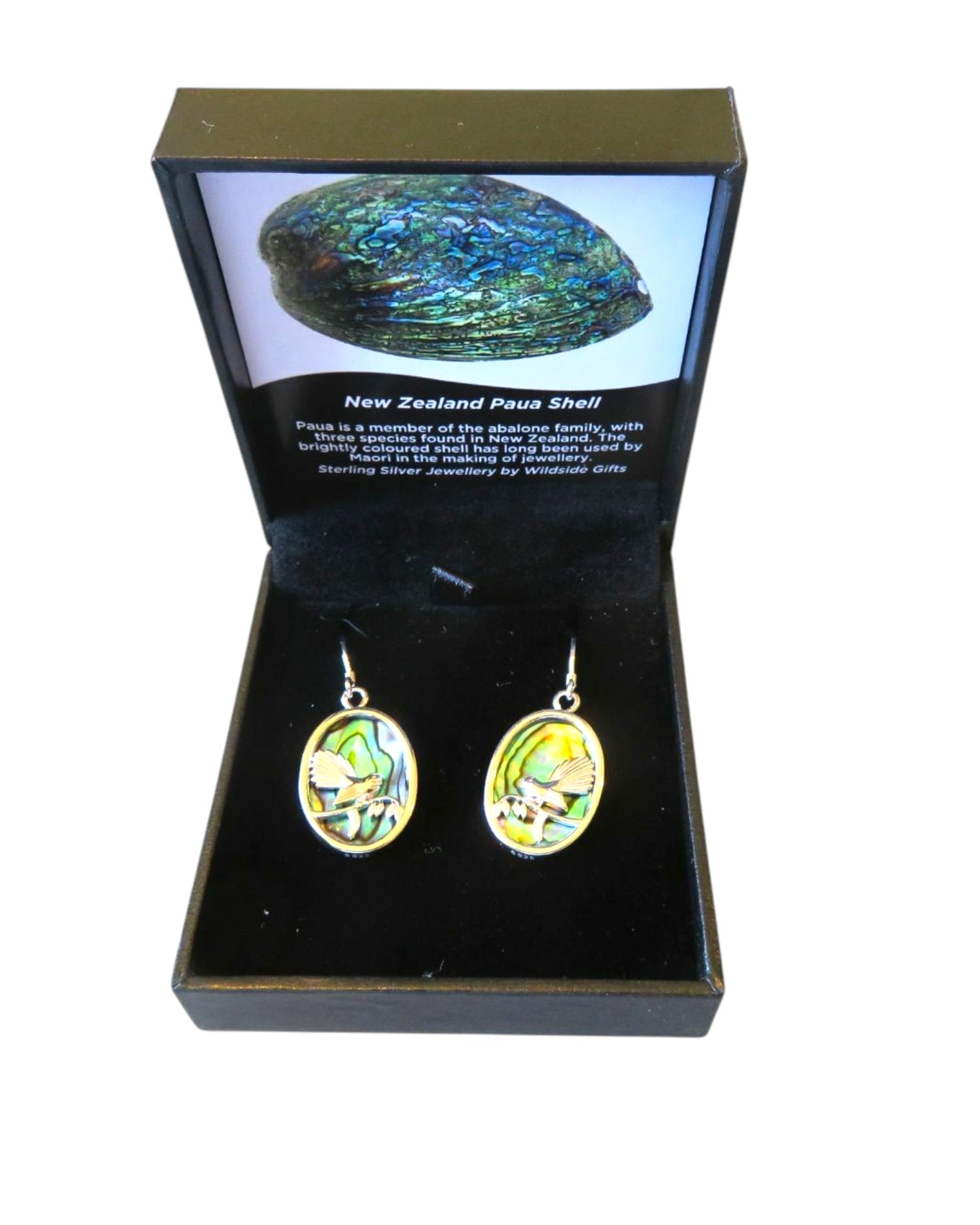 Fantail Sterling Silver with Paua Oval Drop Earrings