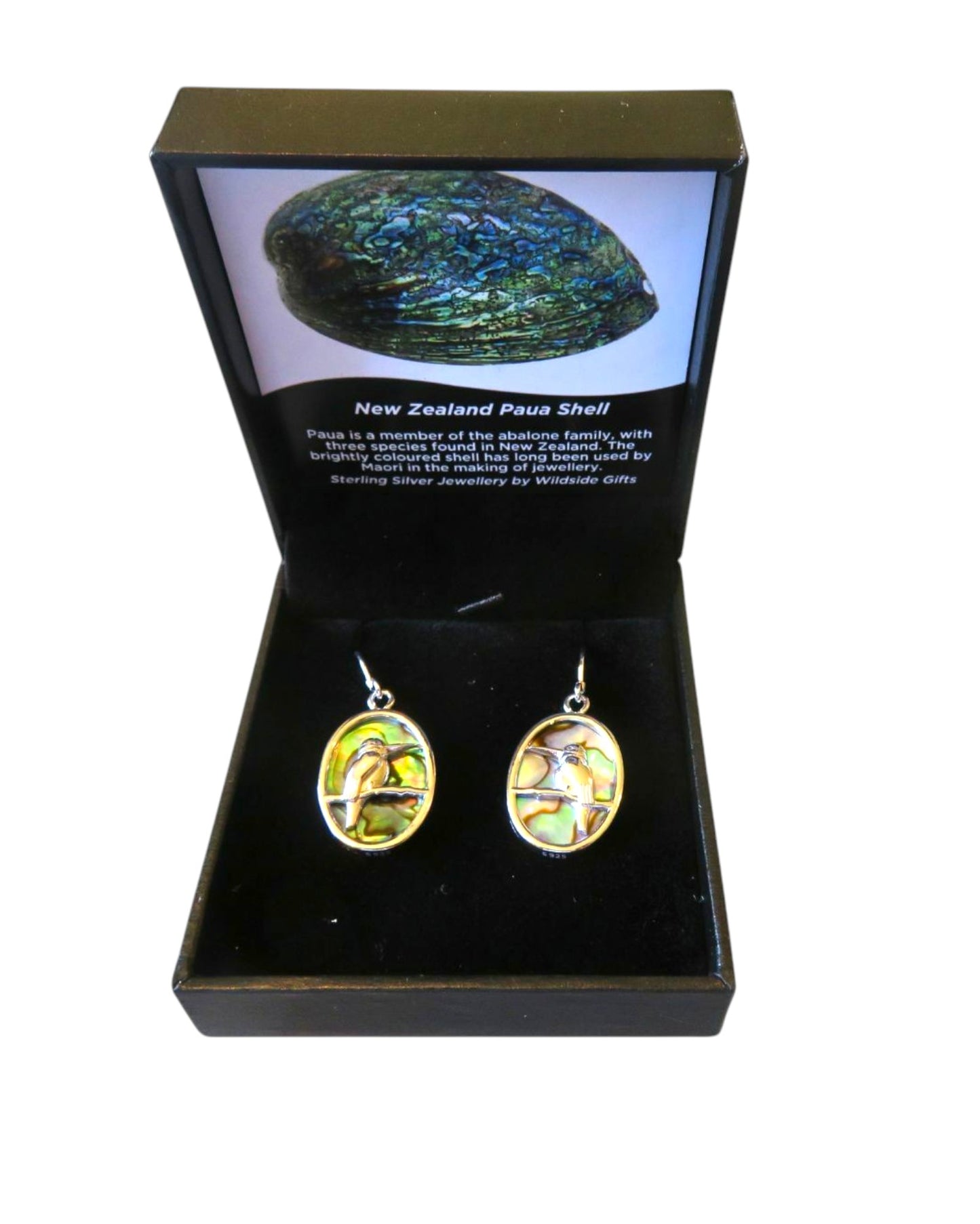 Kingfisher Sterling Silver with NZ Paua Oval Drop Earrings