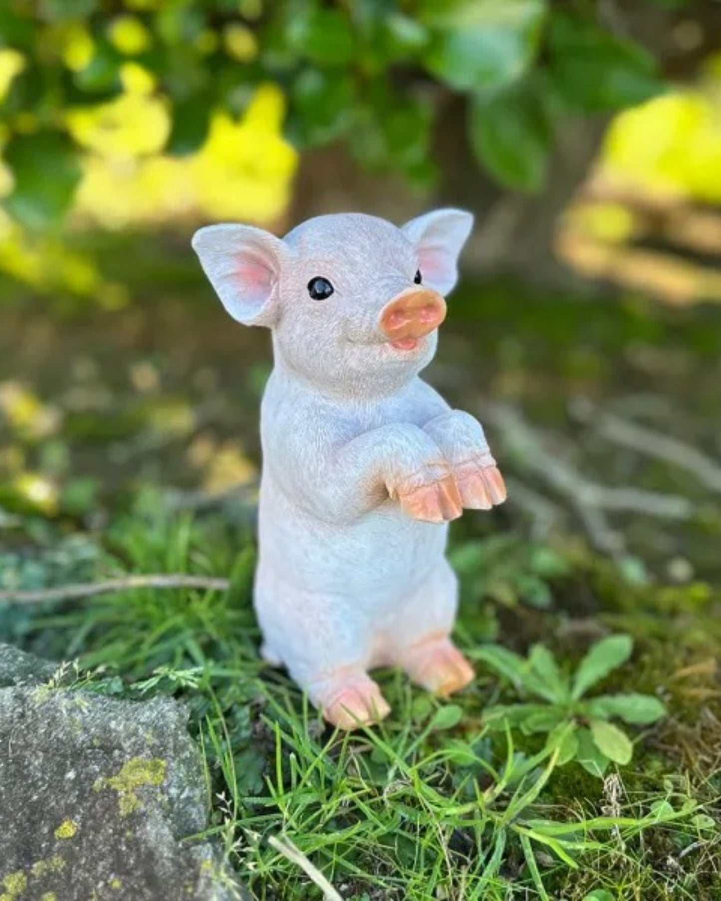 Piglet Small